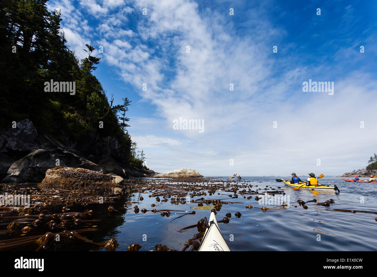 Kayakers negoziare l'acqua intorno Benson isola in rotta Isola Gruppo Barkley Sound Vancouver Island British Columbia Canada. Foto Stock