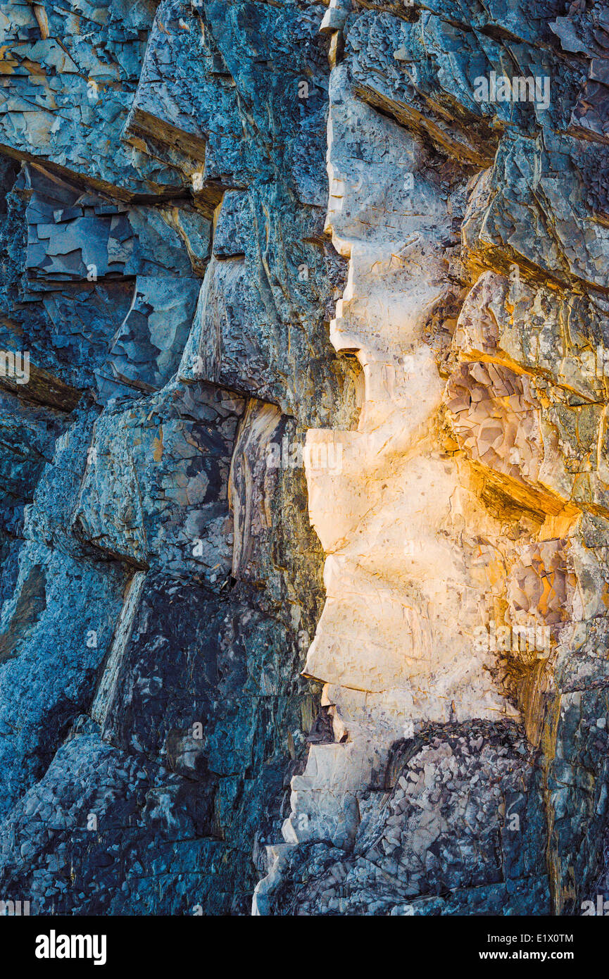 Calcare a Punto Verde site global stratotype per Cambriano/Ordovician confine geologico. Parco Nazionale Gros Morne Foto Stock