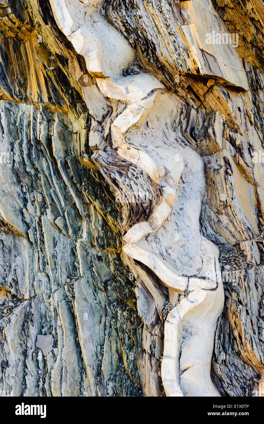 Calcare a Punto Verde site global stratotype per Cambriano/Ordovician confine geologico. Parco Nazionale Gros Morne Foto Stock