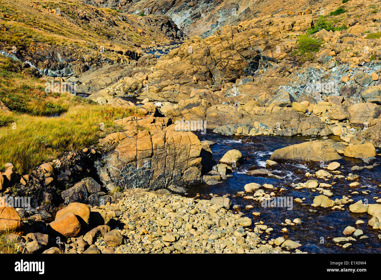 Alpeggi. Le peridotiti rock è rara in superficie della terra motivo per il Patrimonio Mondiale designazione del sito da parte dell'UNESCO Nazionale Gros Morne Foto Stock
