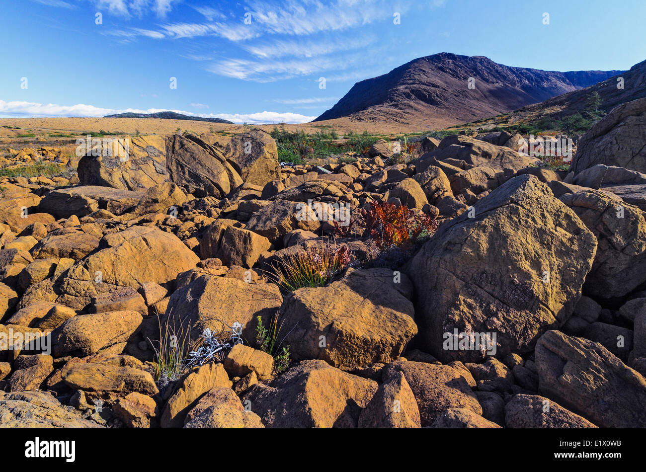 Alpeggi. Le peridotiti rock è rara in superficie della terra motivo per il Patrimonio Mondiale designazione del sito da parte dell'UNESCO. Gros Morne Foto Stock