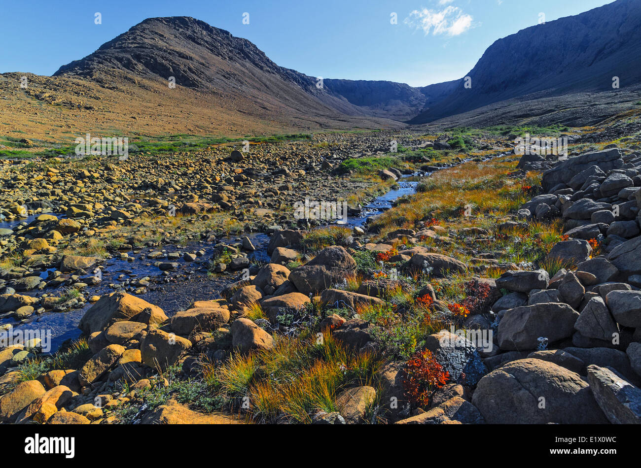 Alpeggi peridotiti rock è rara in superficie della terra motivo per il Patrimonio Mondiale designazione del sito da parte dell'UNESCO. Gros Morne Foto Stock