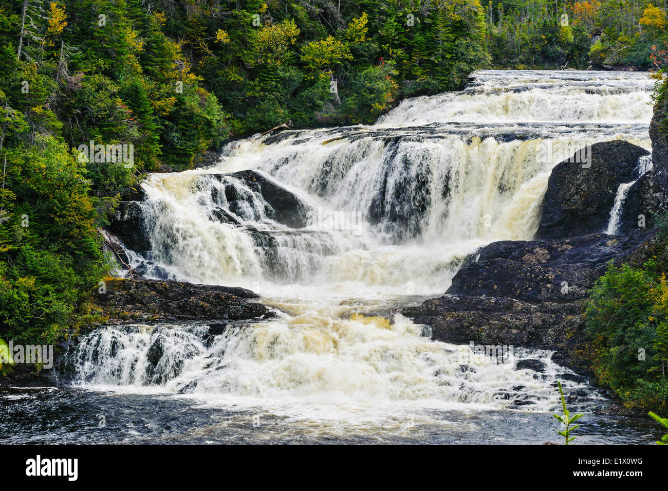 Baker's Brook Falls, Parco Nazionale Gros Morne, Terranova. In Canada. Foto Stock