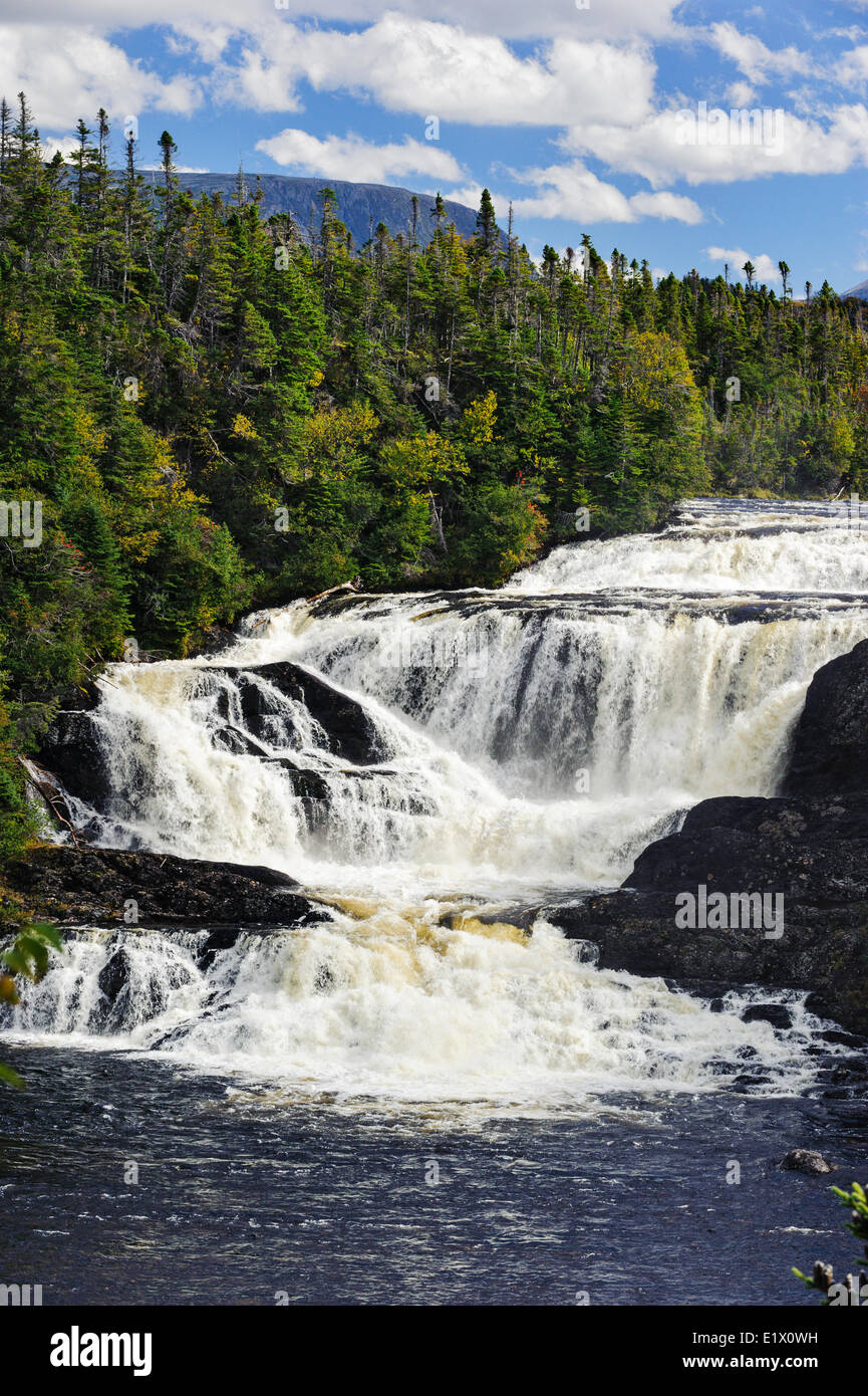 Baker's Brook Falls, Parco Nazionale Gros Morne, Terranova, Canada Foto Stock