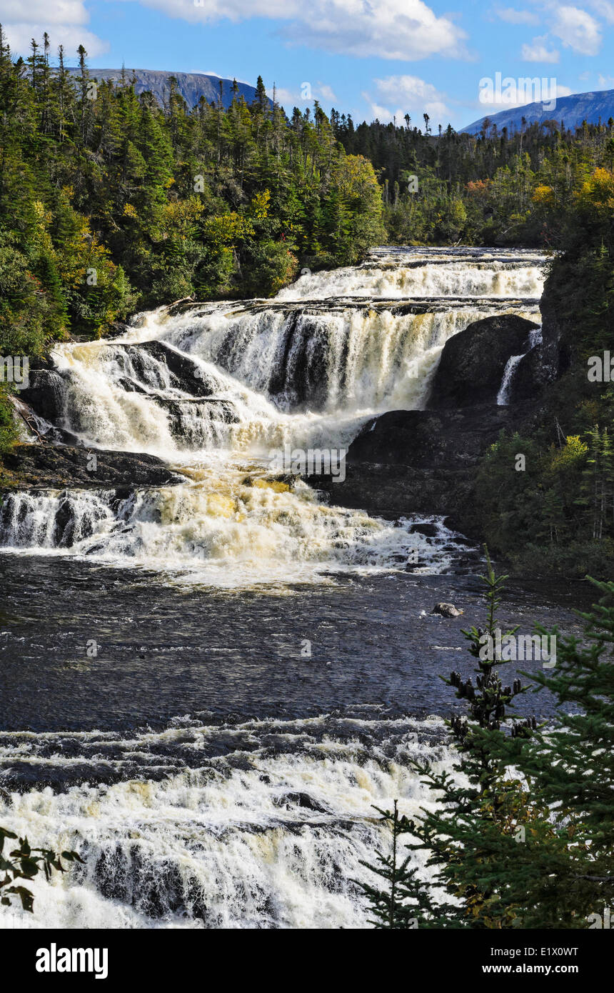 Baker's Brook Falls, Parco Nazionale Gros Morne, Terranova. Canada Foto Stock