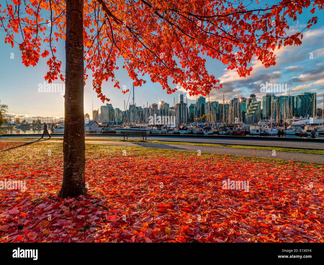 False Creek, Vancouver, British Columbia, Canada Foto Stock