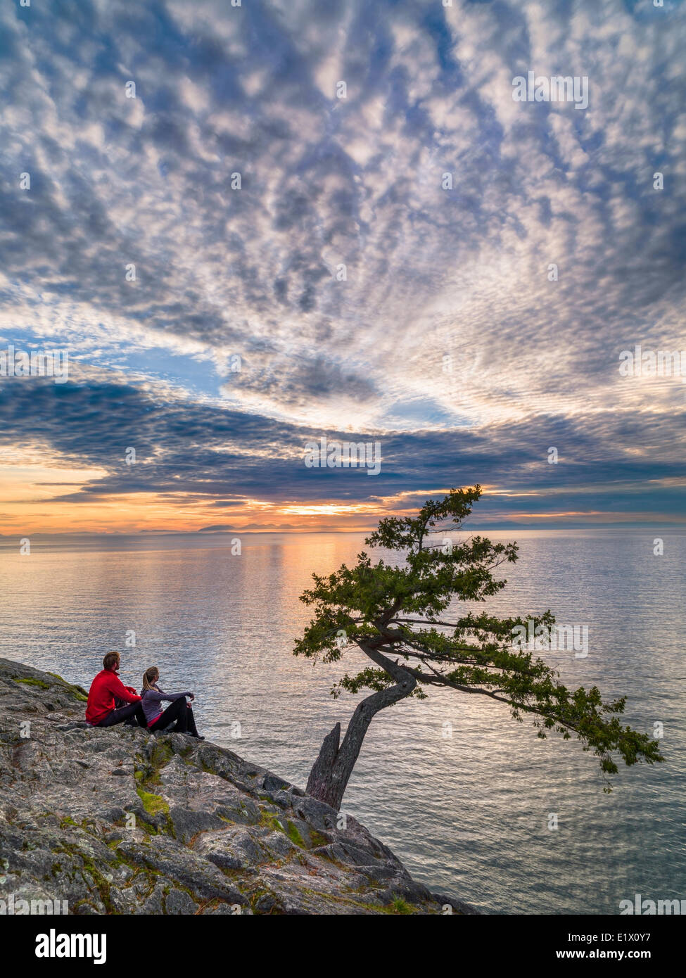 Tramonto al punto di ginepro, Lighthouse Park, West Vancouver. M.R. Foto Stock