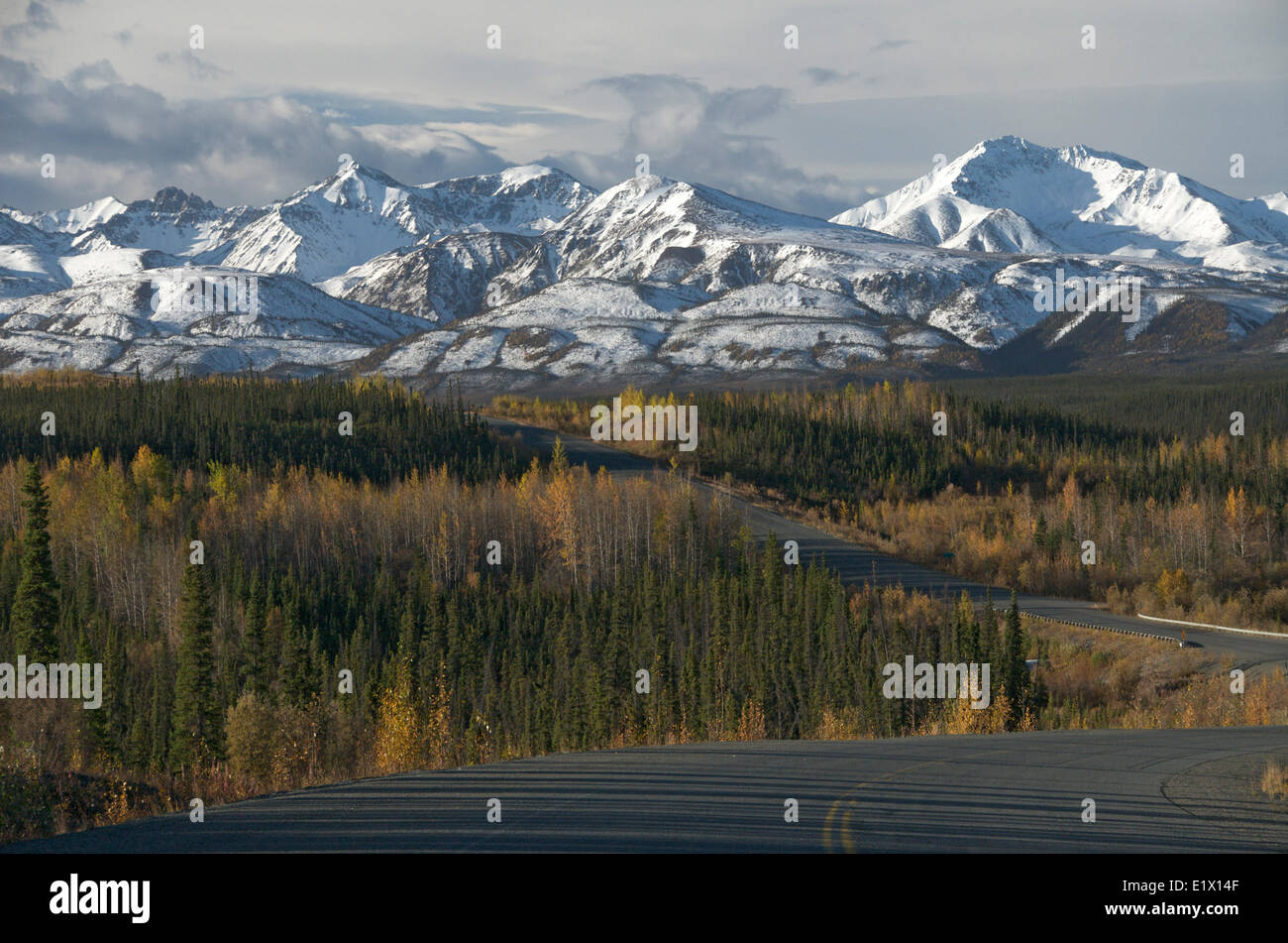 St. Elias, vicino al Fiume Bianco sulla Alaska Highway, Yukon Territory, Canada. Settembre. Foto Stock