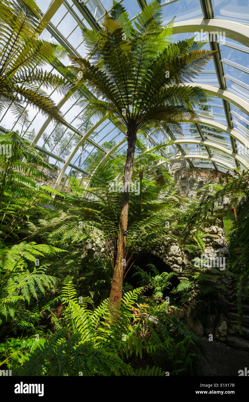 Benmore Botanic Garden vittoriano ristrutturato fernery Foto Stock