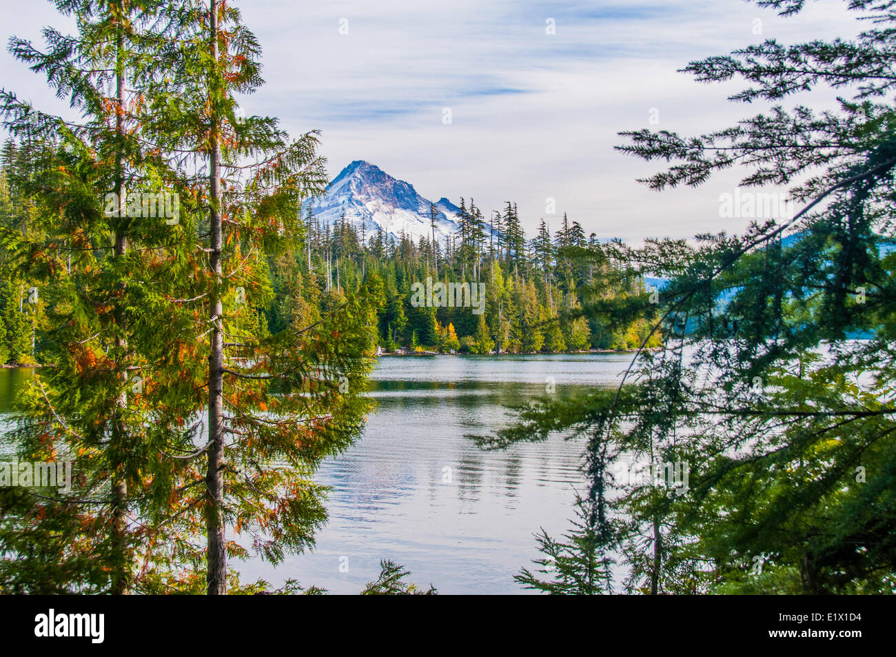 Trillium Lake è un lago situato a 7.5 miglia (12,1 km) a sud-sud-ovest del monte Cofano negli Stati Uniti stato Oregon.Vista del Monte Cofano in Foto Stock