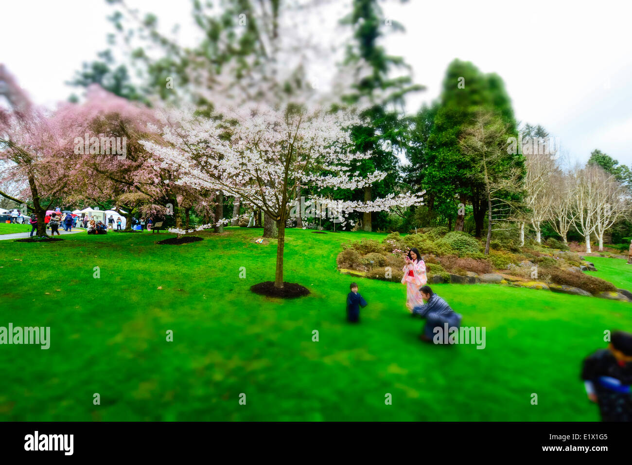 Miniture look della famiglia giapponese a Cherry Blossum Festival e Sakura giorni Giappone Fiera a Van Dusen giardini, Vancouver, British Foto Stock