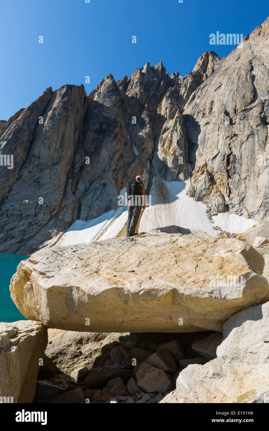 Uomo in piedi su una roccia a guardare Radalet picco, Yukon Coast Mountains Yukon. Foto Stock