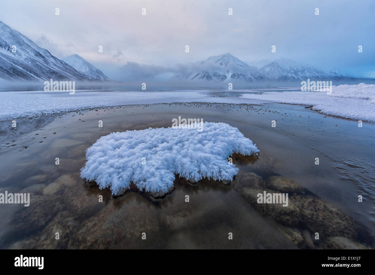 In inverno si assesta a Kathleen Lake nel Parco Nazionale Kluane. Montare Worthington è parrtly avvolte in nuvole e nebbia.Yukon Foto Stock