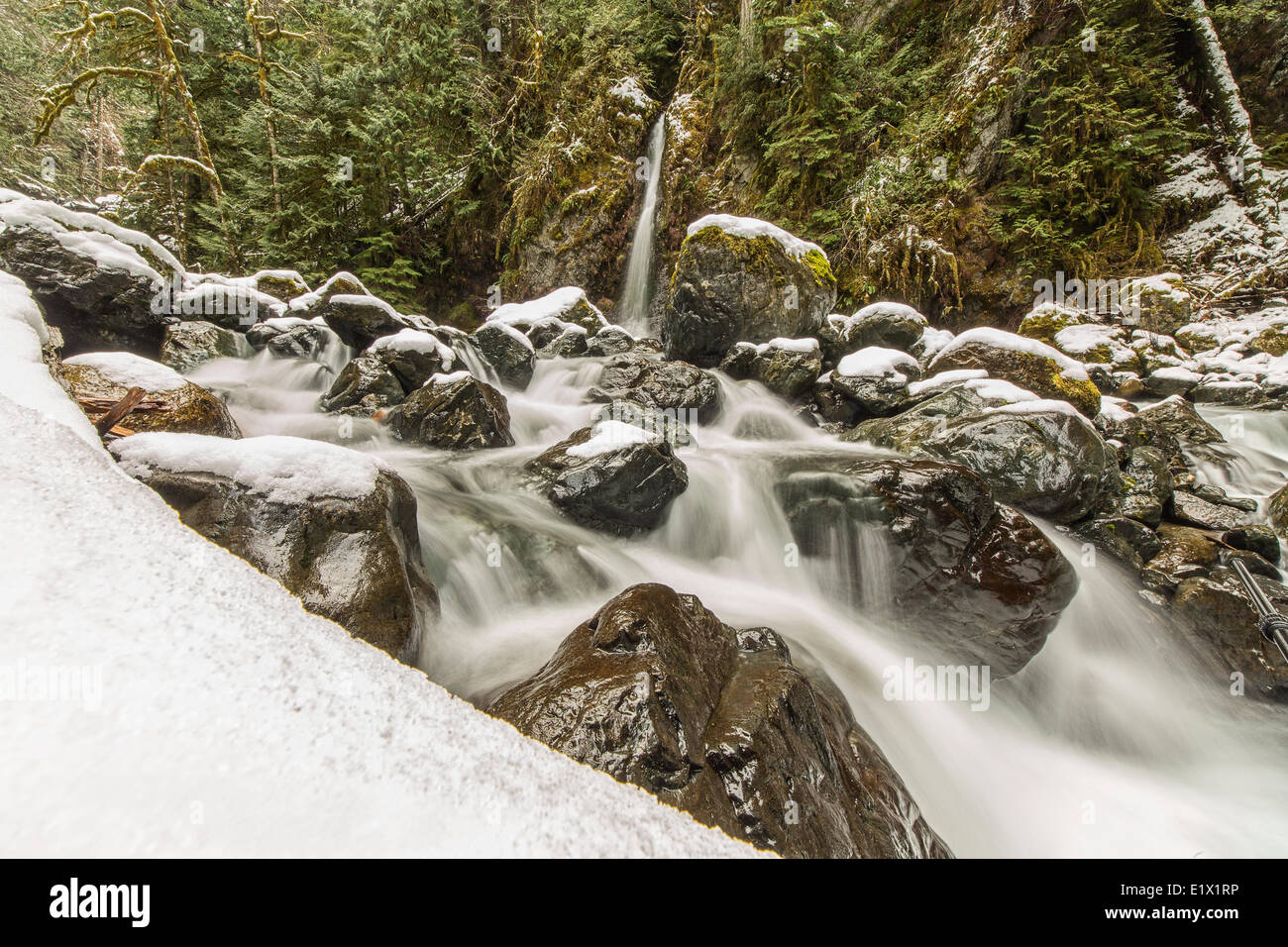Rosewall cascata, Rosewall Parco Provinciale, Isola di Vancouver, British Columbia, Canada. Foto Stock