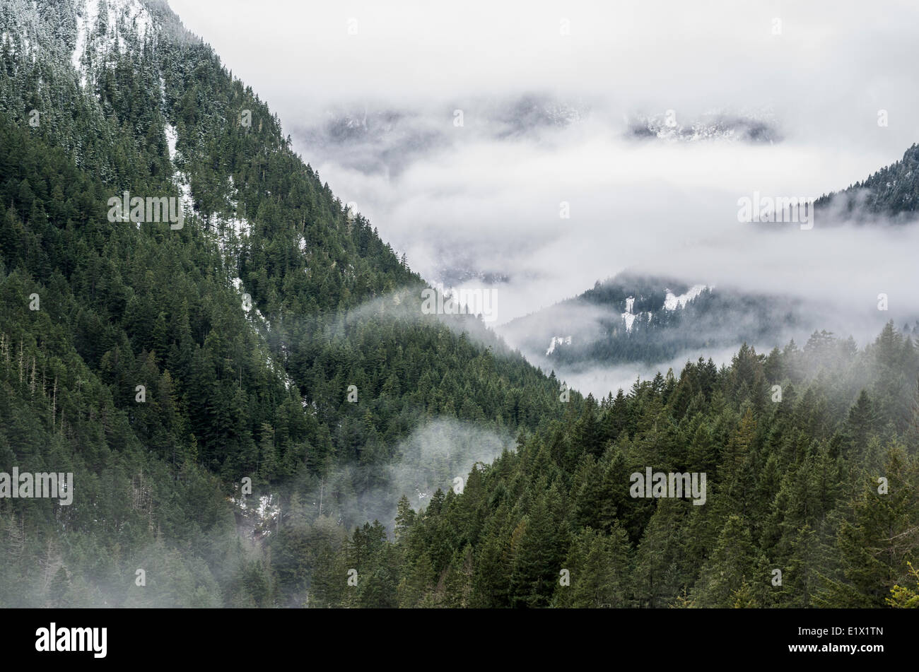 La nebbia in aumento nei monti Cascade range in Manning Provincial Park, British Columbia, Canada Foto Stock