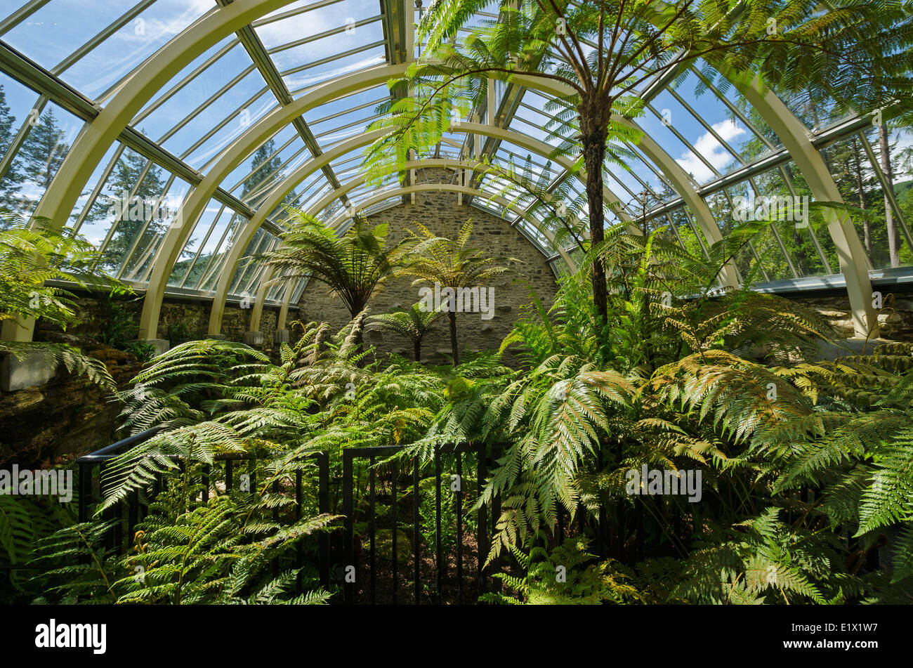Benmore Botanic Garden vittoriano ristrutturato fernery Foto Stock