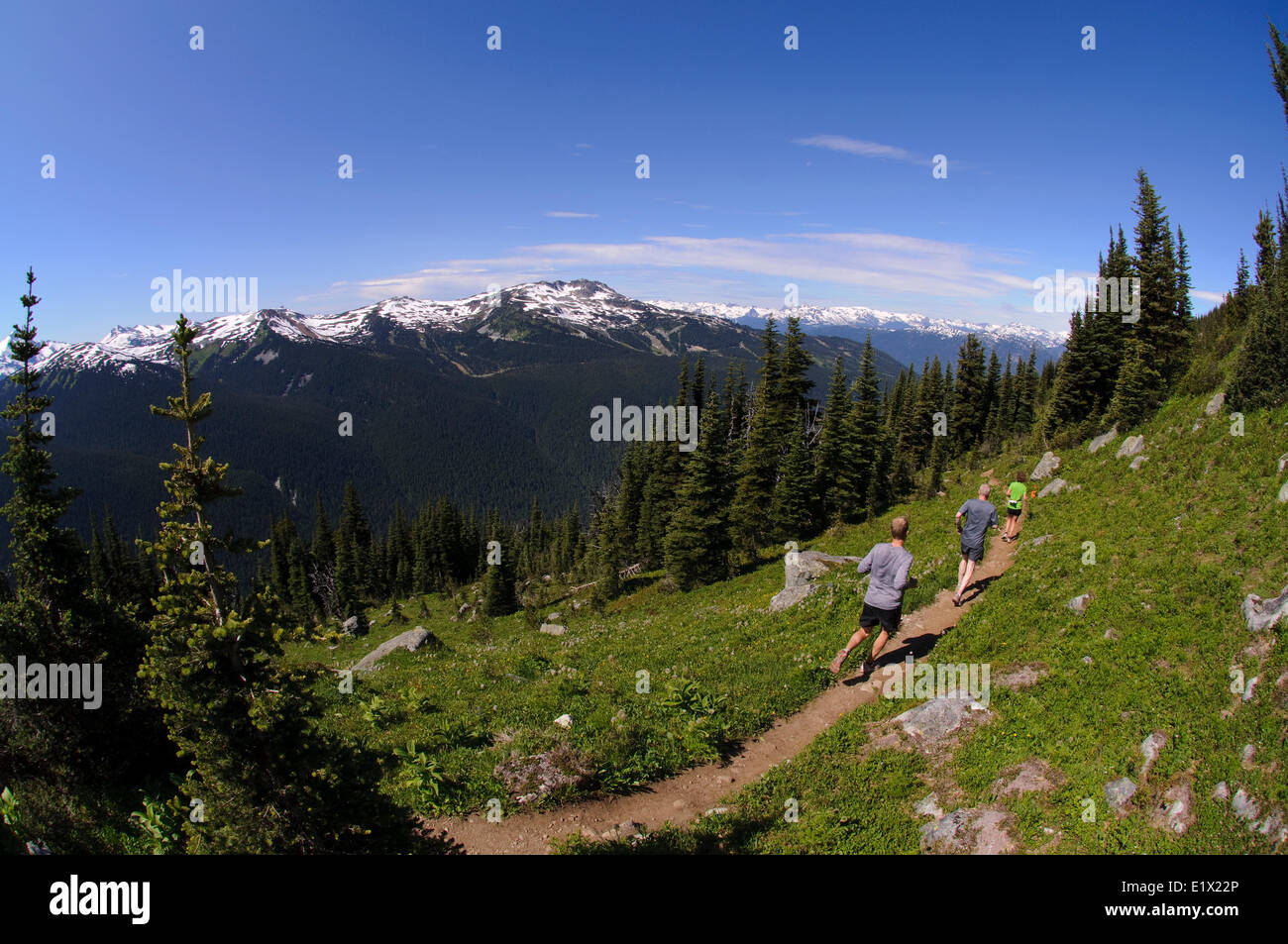 5 picchi 2011 trail running race series. Ziggy's prato, Monte Blackcomb, Whistler, British Columbia, Canada Foto Stock