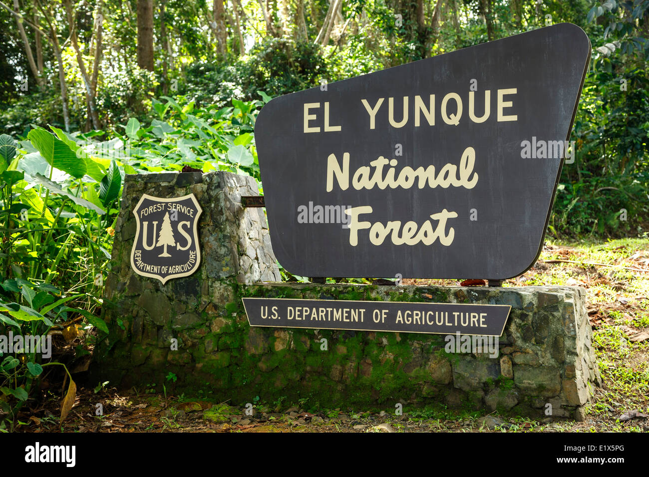 Ingresso segno, Foresta Nazionale Caraibica (Foresta Pluviale di El Yunque), Puerto Rico Foto Stock