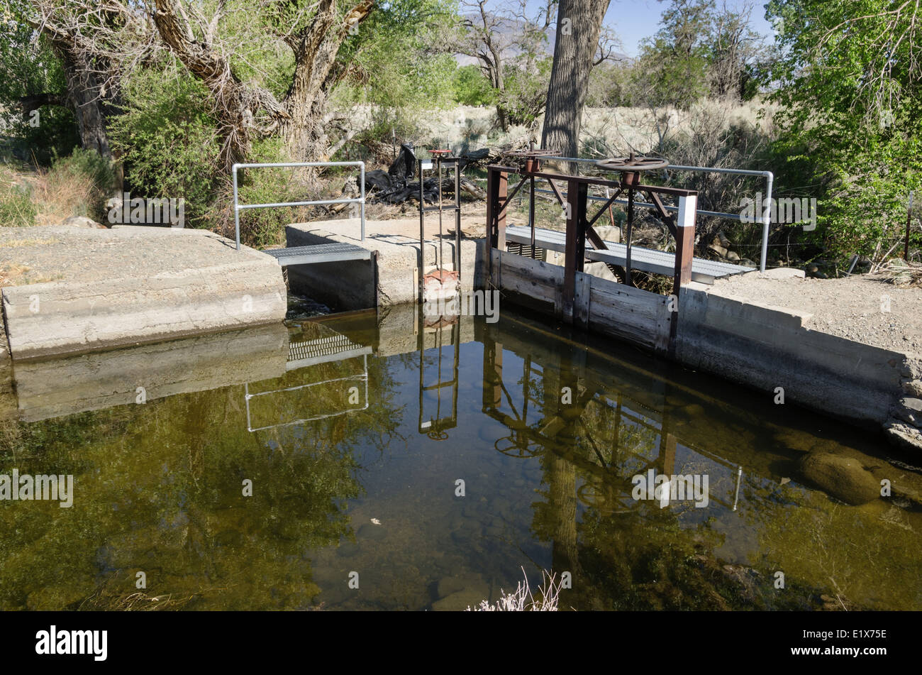 Acqua strutture di diversione per controllare il flusso di acqua da un canale di irrigazione nella Owens Valley Foto Stock