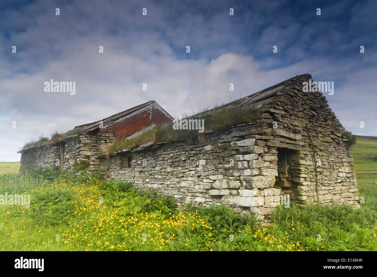 Vecchia capanna crofters nelle Orkney, Scozia Foto Stock