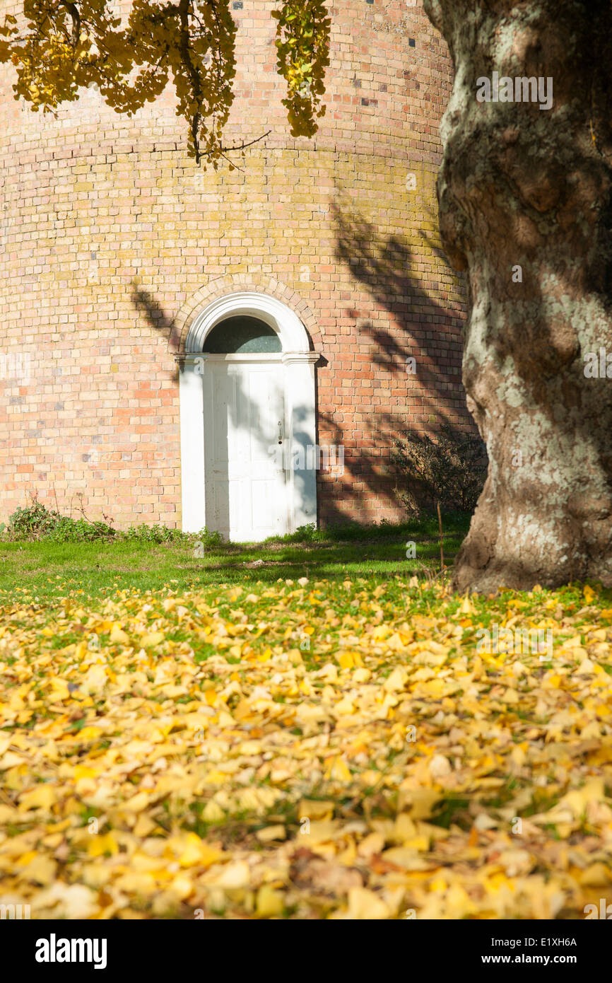 Bianco porta chiusa sotto agli alberi nella vecchia torre in mattoni, Cambridge. NZ, circondata da un tappeto giallo gingko foglie. Foto Stock