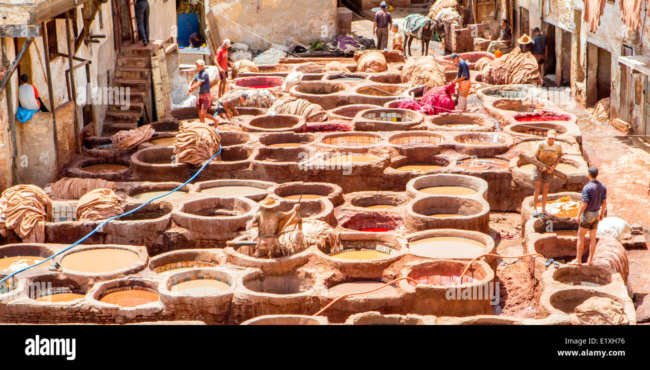 Vista delle vasche di tintura nel trimestre i conciatori, Fez, in Marocco. Foto Stock