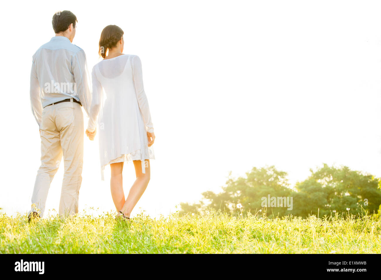 Vista posteriore della coppia giovane tenendo le mani nel parco contro il cielo chiaro Foto Stock
