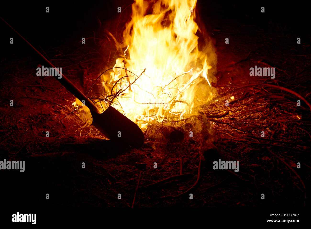 Messa fuori con una pala bruciando legno di eucalipto in un intenso fuoco di campo los pellines Cile Foto Stock