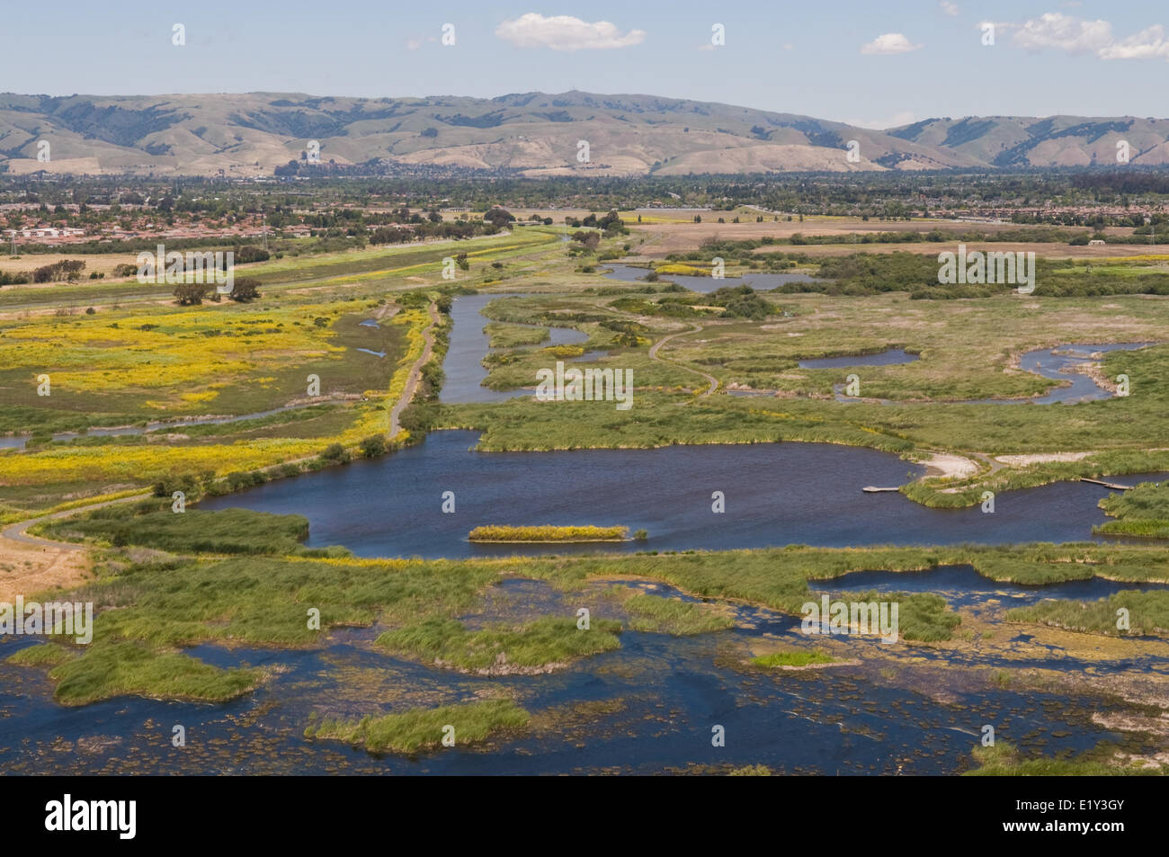 Coyote Hills Foto Stock