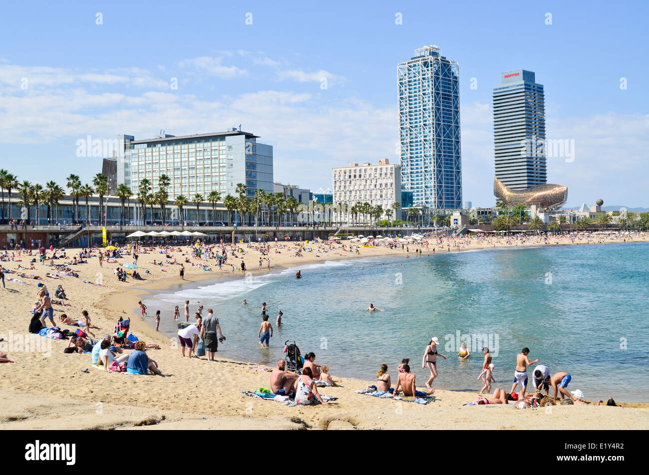 Torre Mapfre, Hotel Arts e Spiaggia di Barceloneta. Barcellona, in Catalogna, Spagna Foto Stock