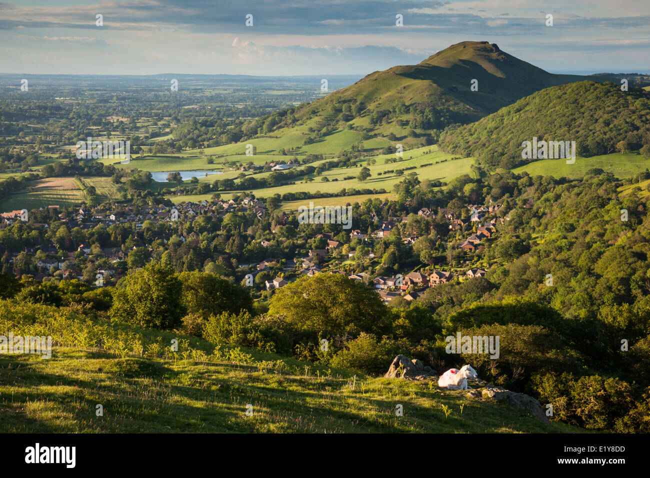 Caer Caradoc e Helmeth Hill in serata sole, come visto dalla collina Ragleth. Church Stretton, Shropshire Foto Stock