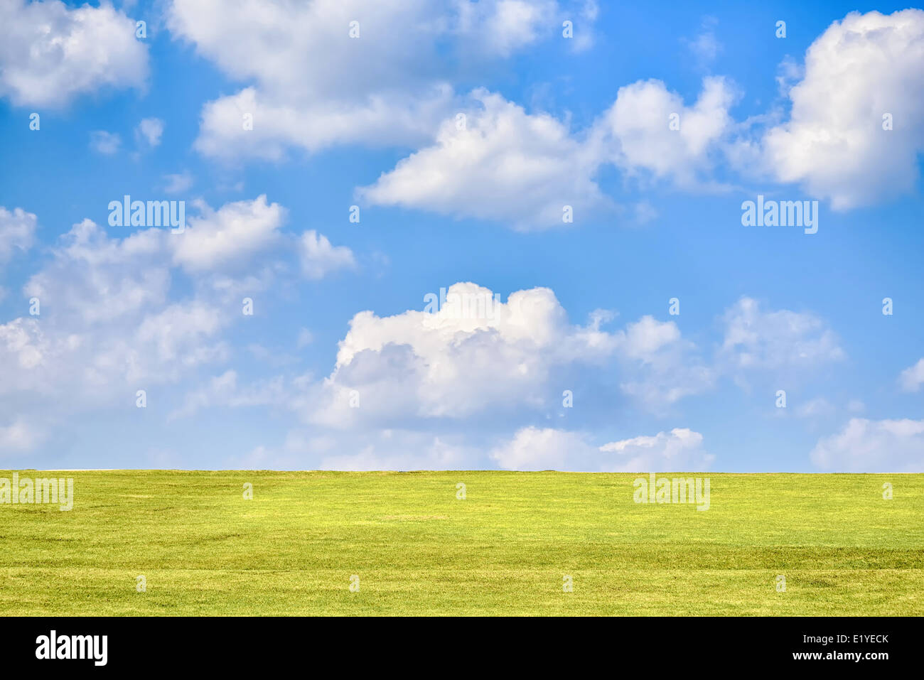 Verde collina con blu cielo nuvoloso in giornata soleggiata Foto Stock