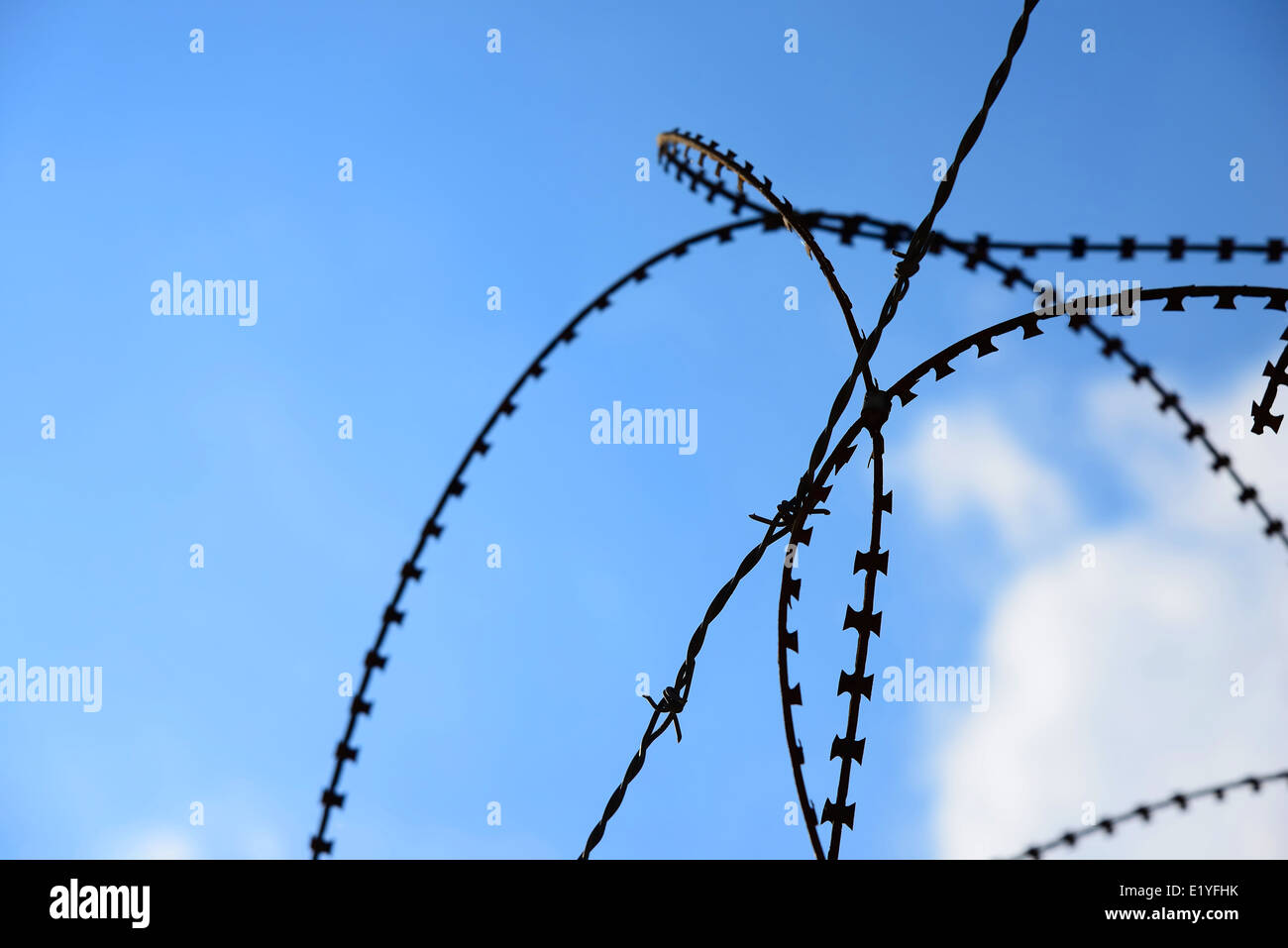 Recinto di filo su uno sfondo di cielo blu chiaro Foto Stock