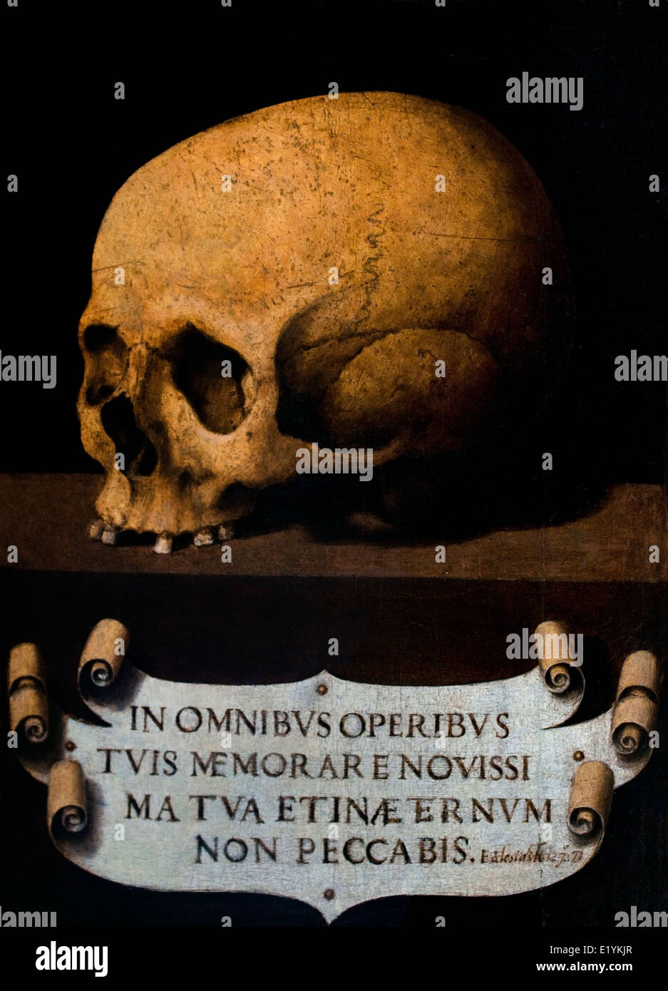 Cranio (memento mori) Joan de Joanes (Valencia c 1505 -. Bocairent, 1579 Arte Medievale Spagna - Spagnolo Foto Stock