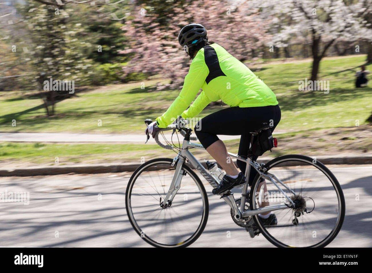 Uomo Bicicletta Equitazione nel Central Park di New York Foto Stock