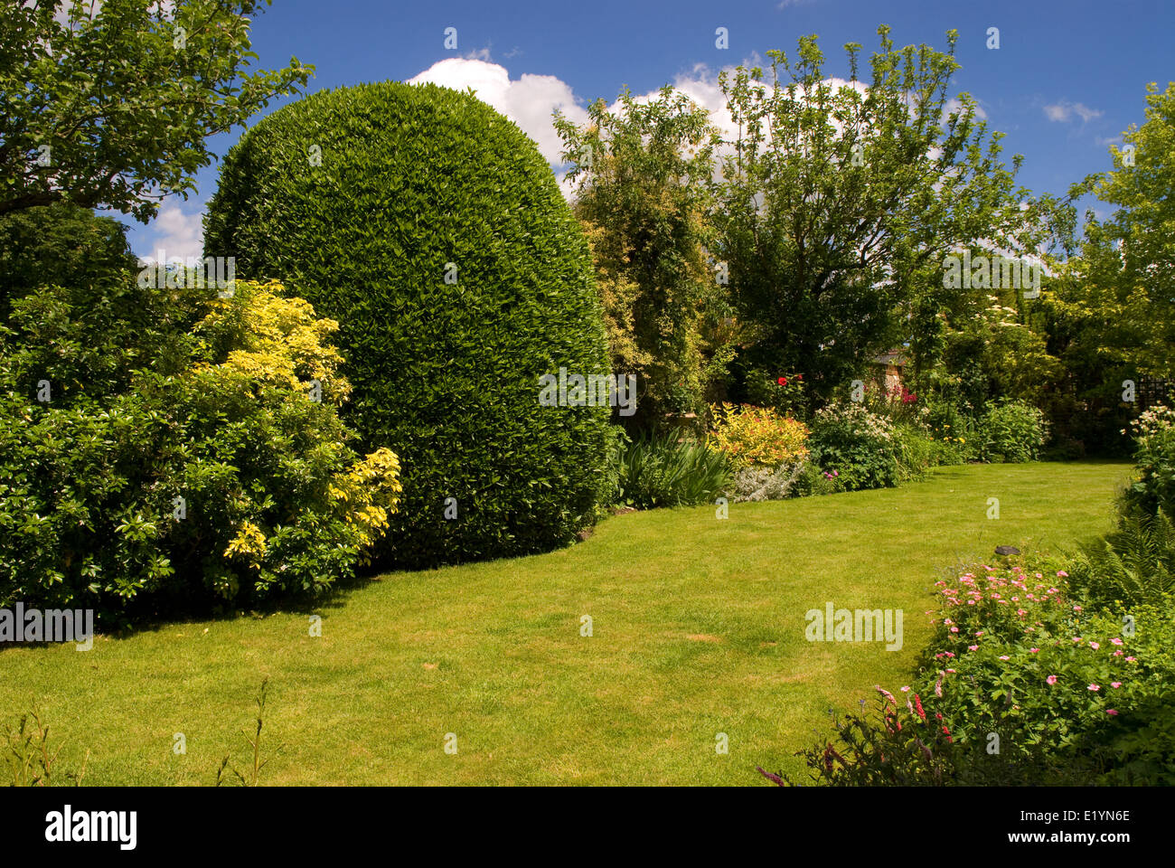 Un inglese un paese rurale giardino nel villaggio di holybourne, hampshire, Regno Unito. Foto Stock
