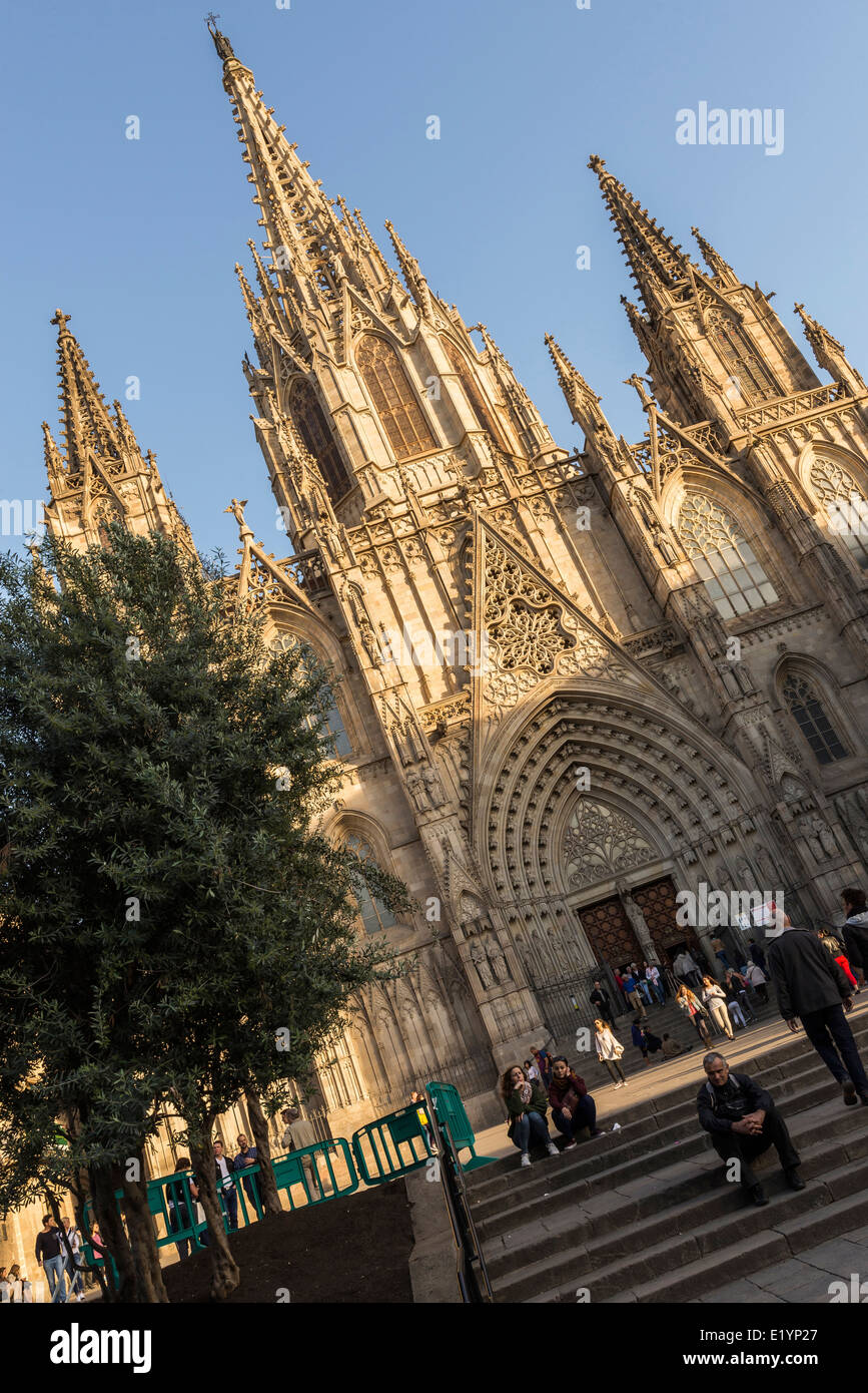 Cattedrale di Santa Eulalia a Barcellona al tramonto Foto Stock