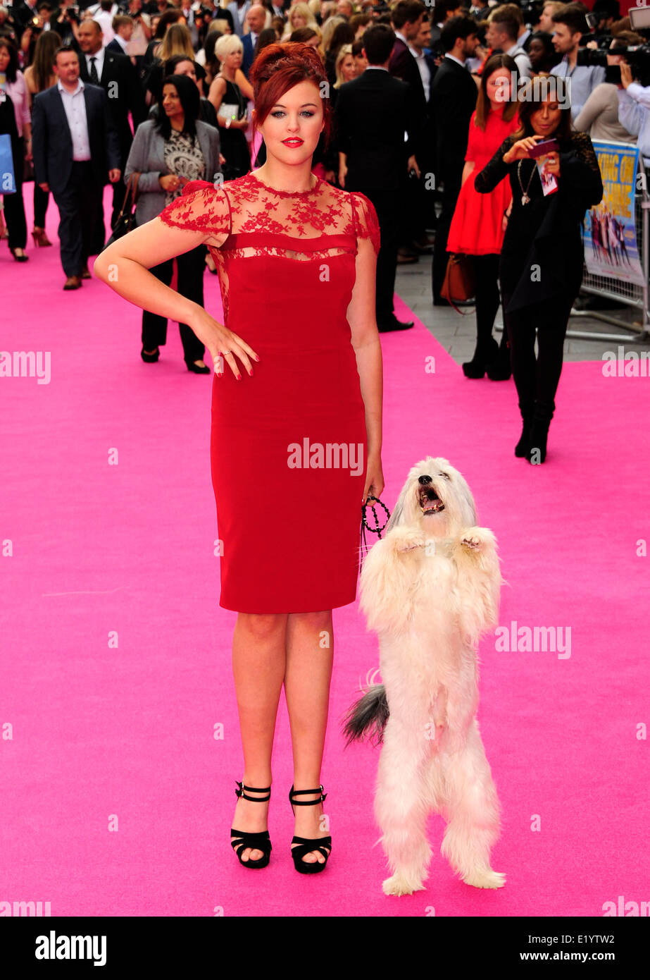 Londra, Regno Unito. 11 Giugno, 2014. Ashleigh Butler & Pudsey frequentare la Premiere mondiale di camminare su Sunshine presso la Vue West End di Londra 11 Giugno 2014. Credito: Peter Phillips/Alamy Live News Foto Stock