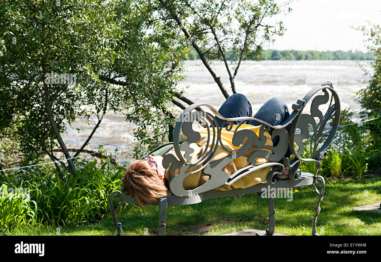 Suono addormentato su un banco a fianco il Lachine rapids a Montreal il santuario degli uccelli. Foto Stock