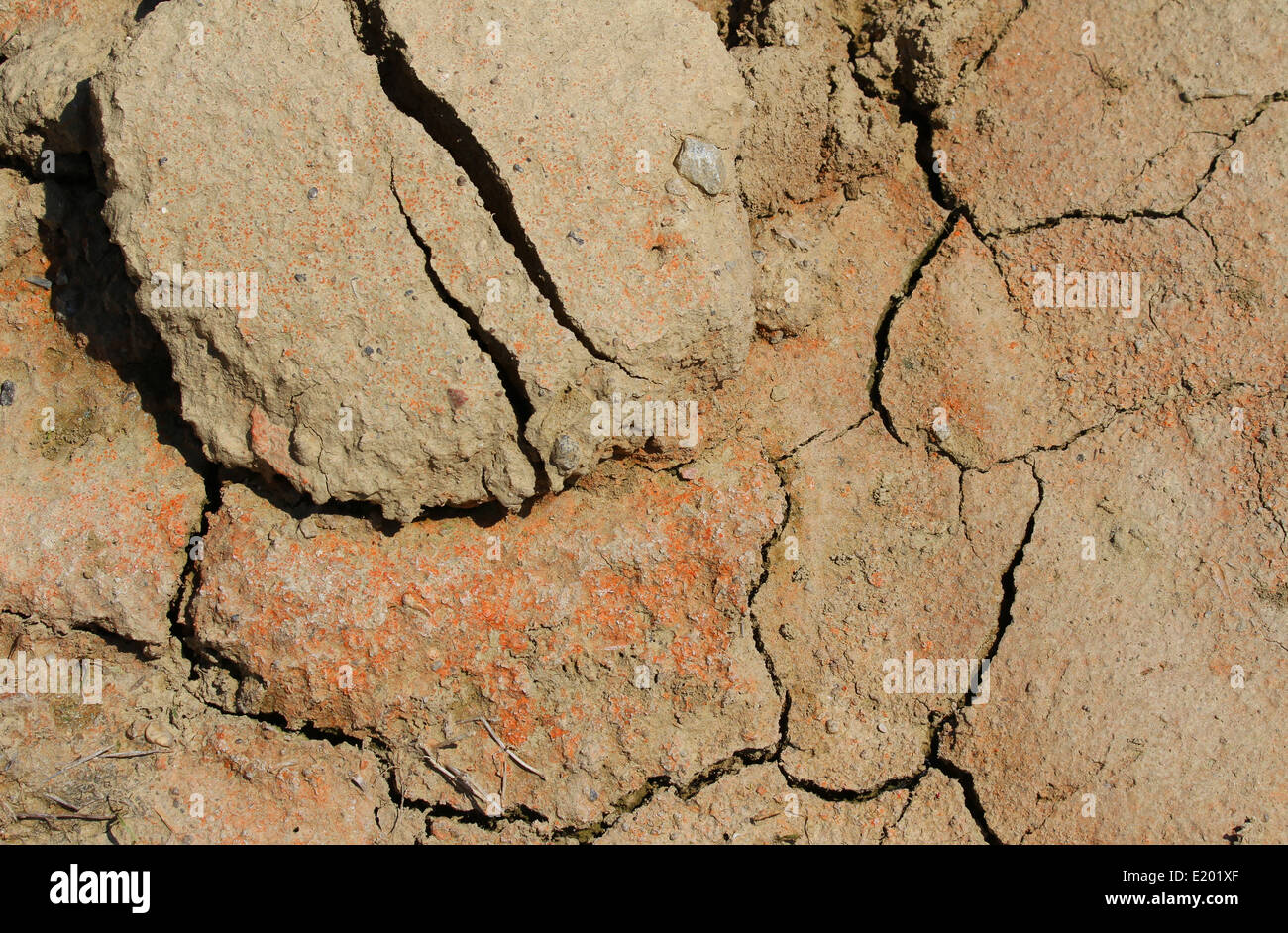 Solchi profondi su un terreno arido di un campo in estate Foto Stock