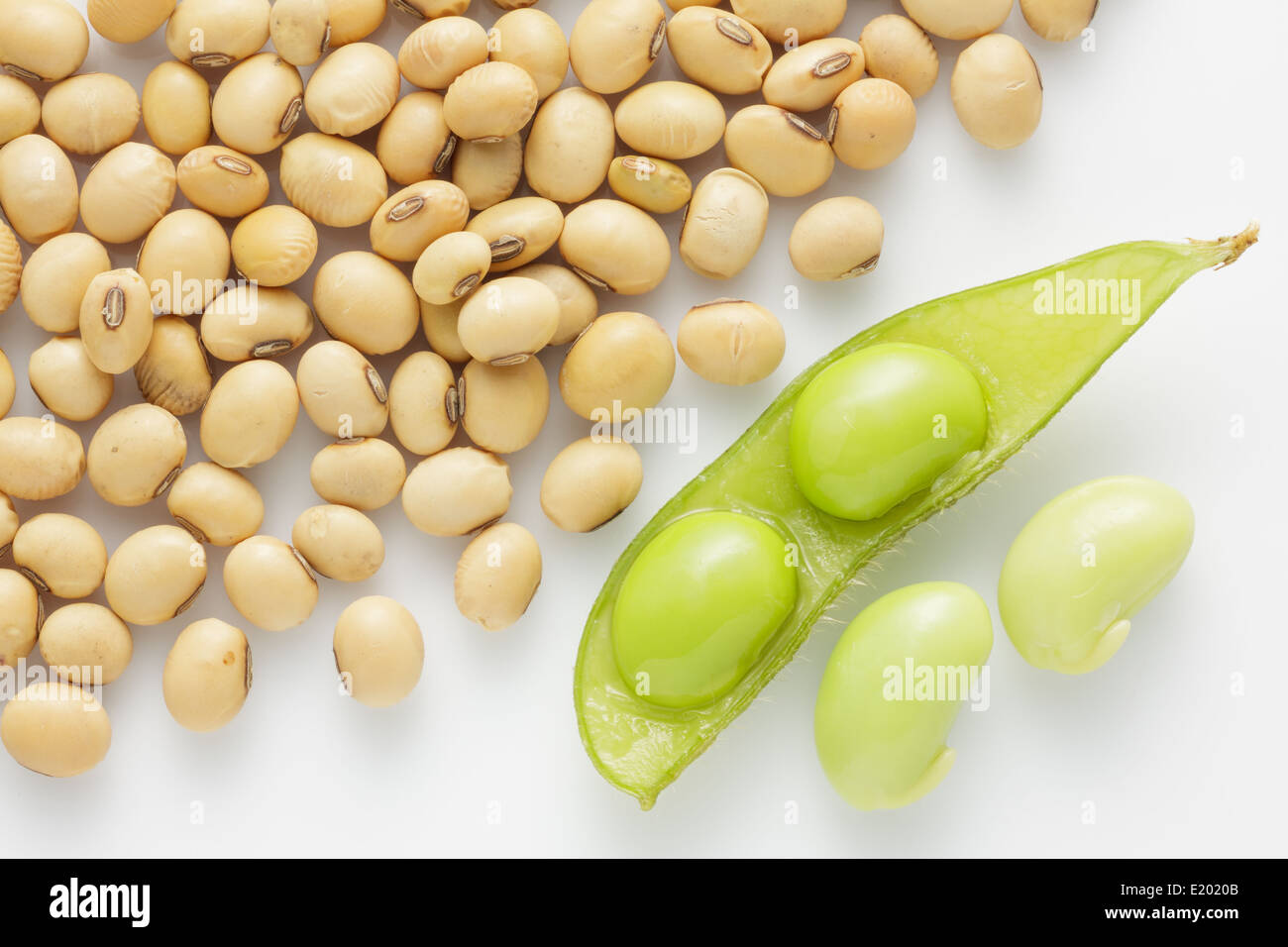 Fresh pea pod e di semi di soia secchi su sfondo bianco. Foto Stock