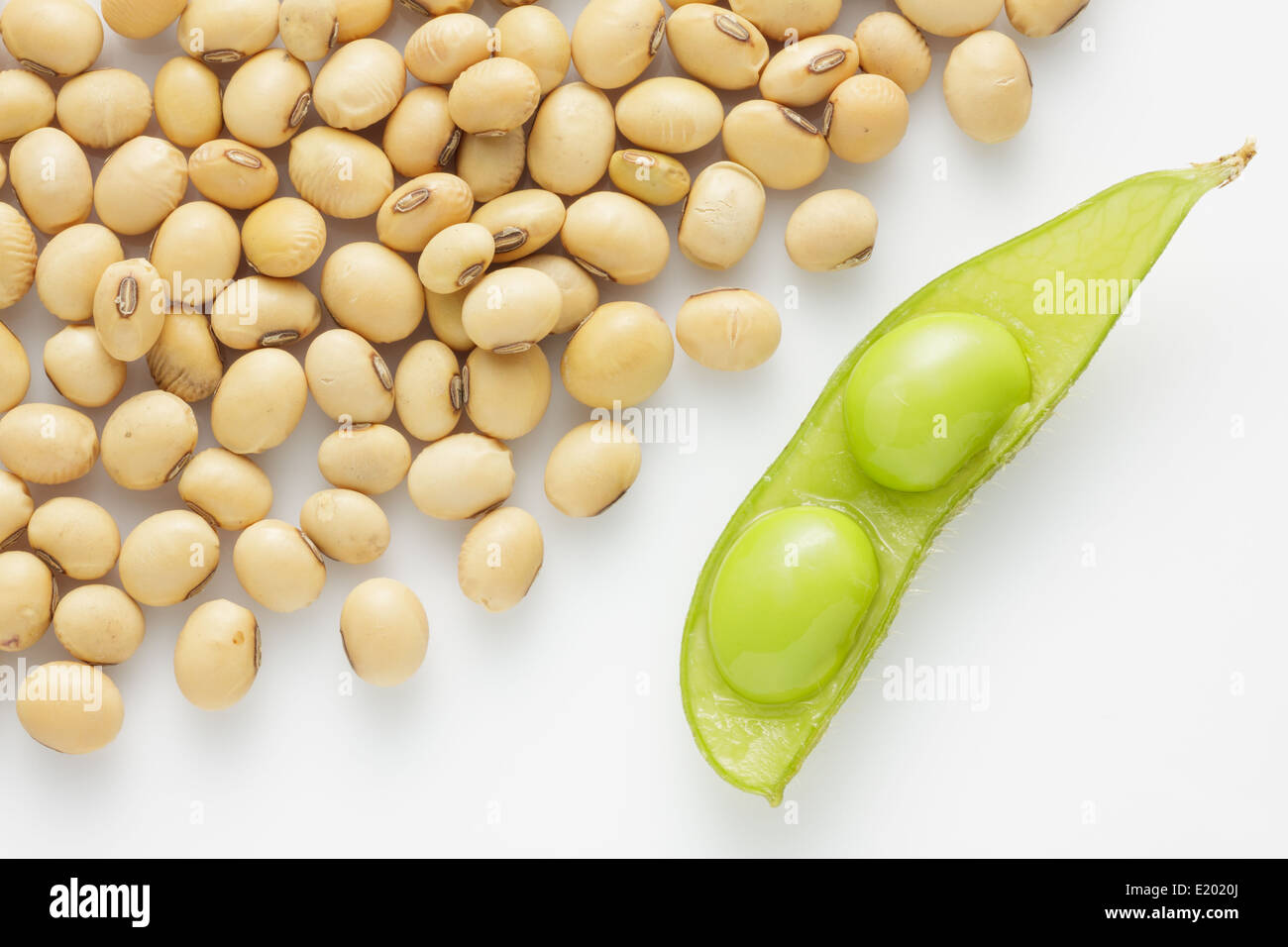 Fresh pea pod e di semi di soia secchi su sfondo bianco. Foto Stock