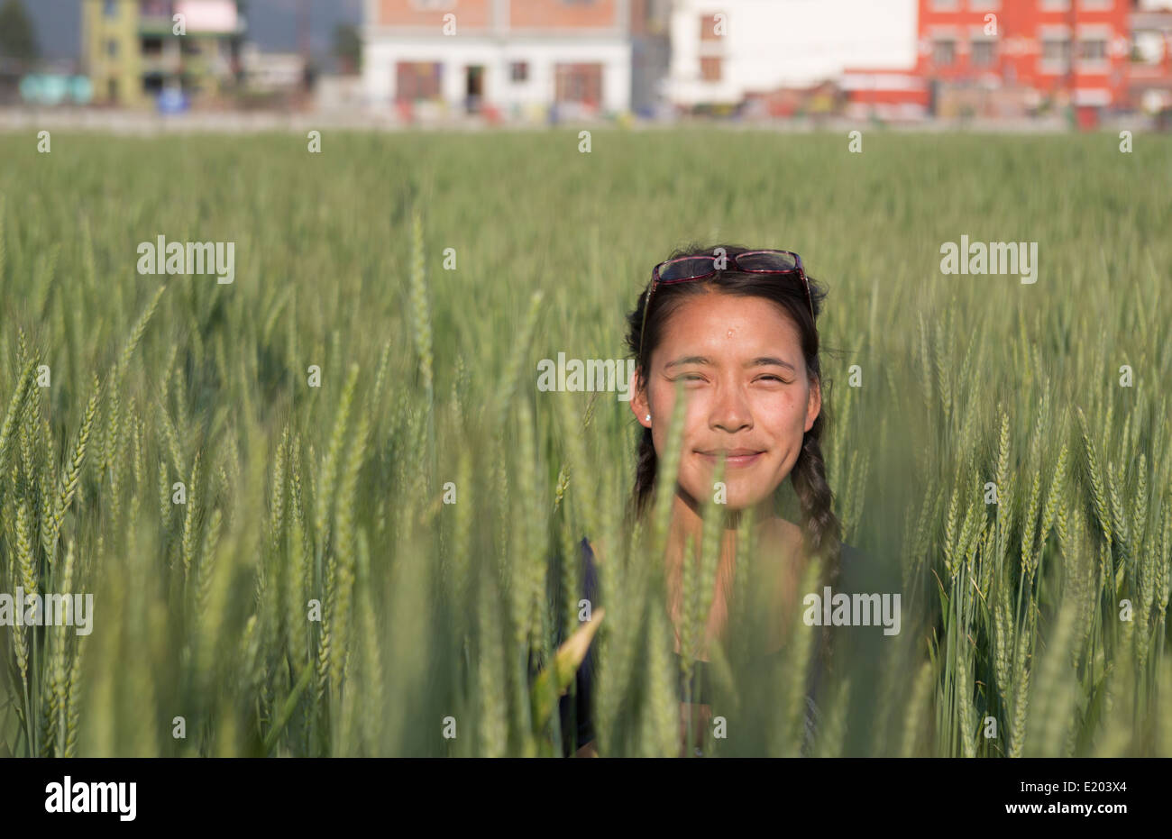 Kathmandu in Nepal bambino nepalese in posa di campo di grano in Kathmandu orientale 1 Foto Stock