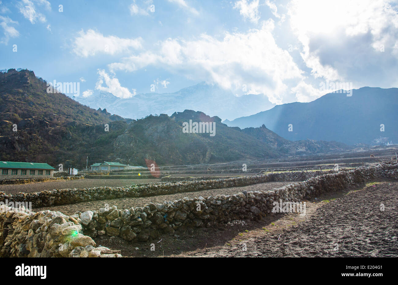 Il Nepal Agricoltura campi divisi da pareti in pietra nel villaggio di Khumjung, remoto, Mt everest, Himalaya Foto Stock