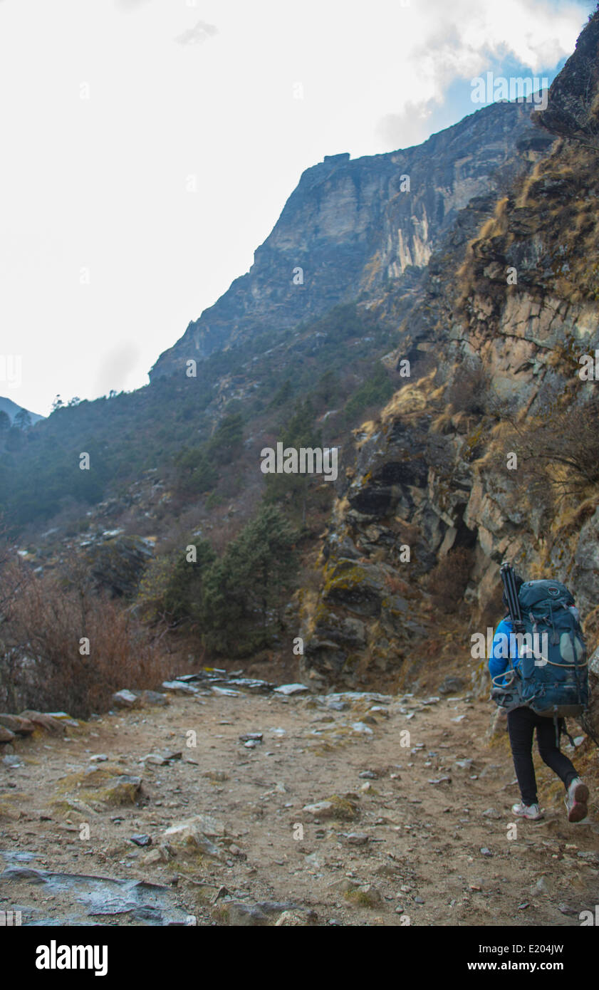 Nepal porter femminile camminando per uno stretto sentiero di montagna con i sacchetti sulla sua schiena, Samshog, Solukhumbu , remote, Mt Everest, 97 Foto Stock