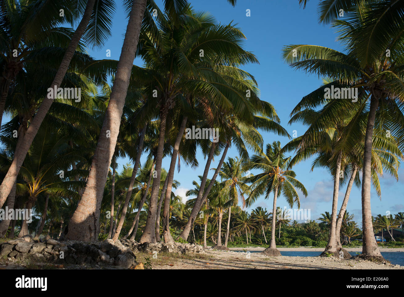 Aitutaki. Isole Cook. Polinesia. Oceano Pacifico del sud. Spiaggia di Aitutaki Lagoon Resort & Spa Hotel. Il paradiso è un molto-overused Foto Stock