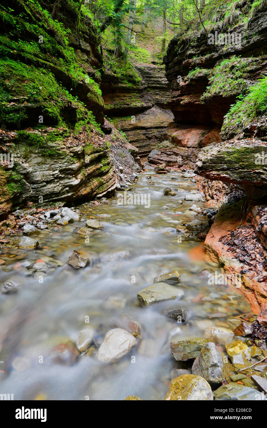 Flusso del fiume Taugl, gorge, Bad Vigaun, Hallein District, Salisburgo, Austria Foto Stock