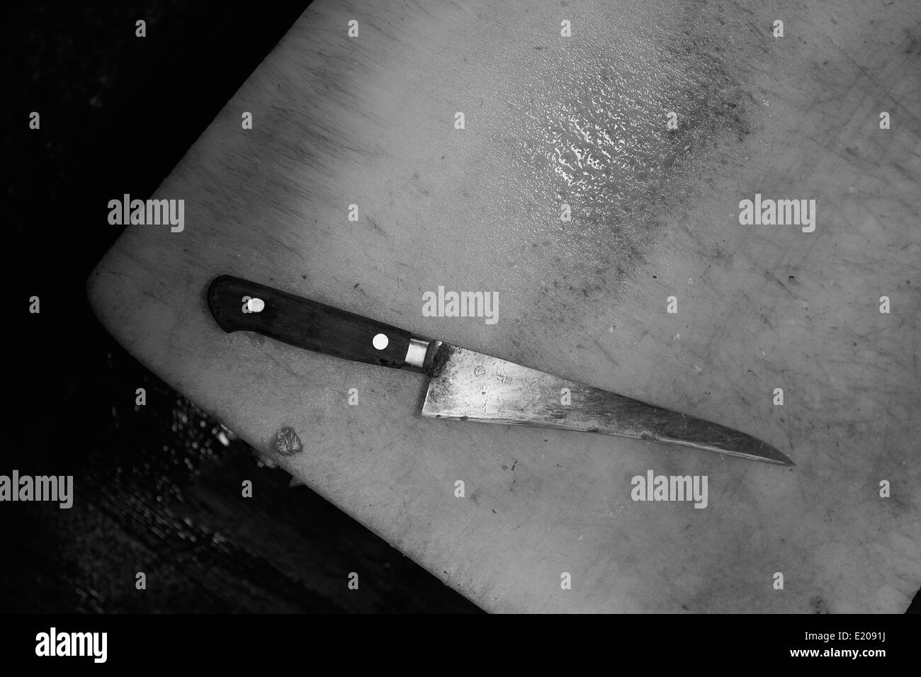 Il Mercato del Pesce di Tsukiji (Tokyo Metropolitan Central Wholesale Market) Foto Stock