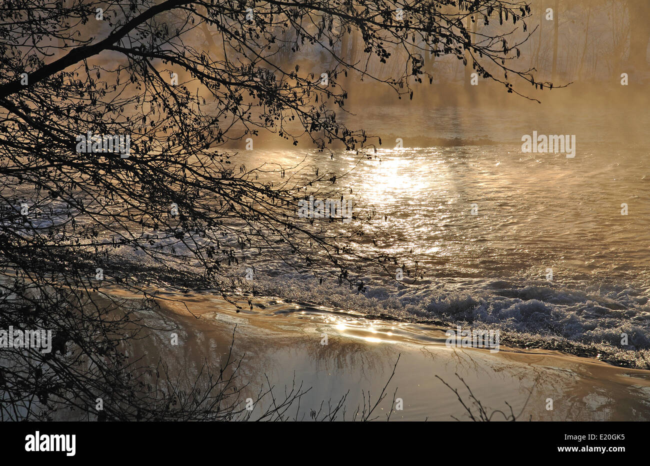 La mattina presto al fiume Regen in Baviera Foto Stock