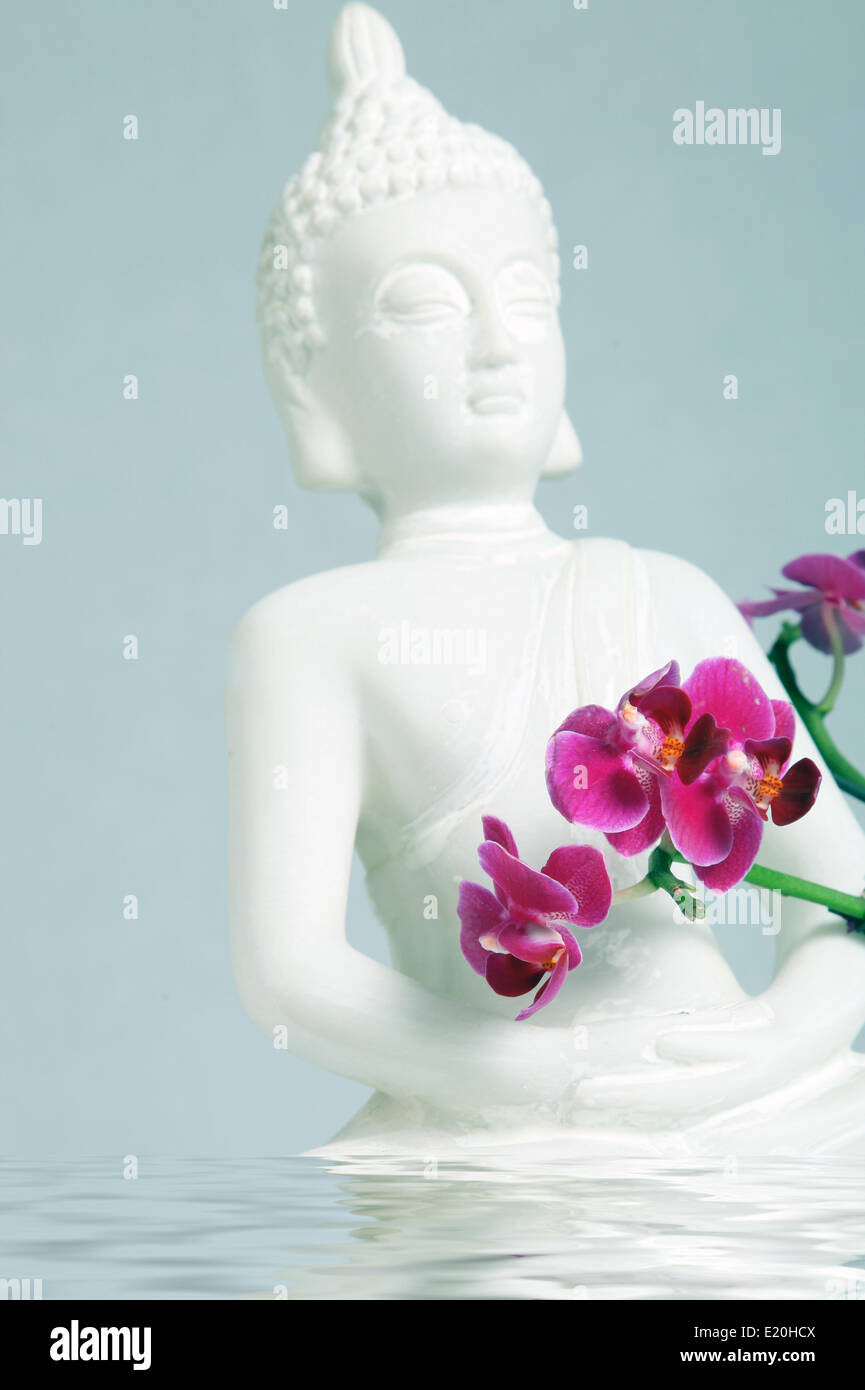 Il Buddha in acqua con un orchidea bianca Foto Stock